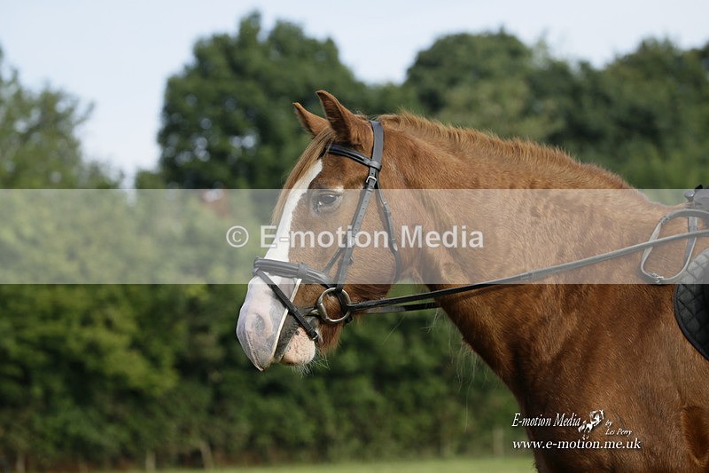 BVRC 120921 5 - Bourne Valley Riding Club UA Dressage & Show Jumping 12/09/21