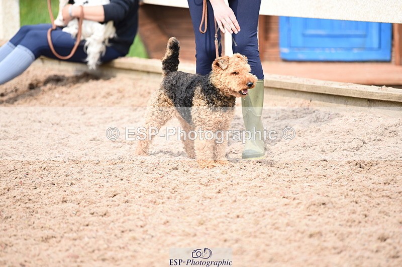 240518A-115250-00858 - Cls 2 Prettist Bitch