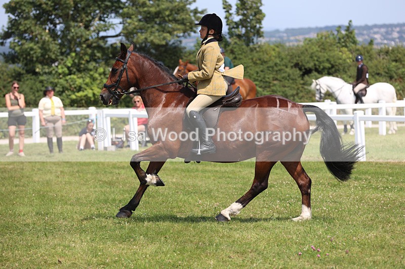 JPP_3267 - Class 22: Working Hunter 70cm