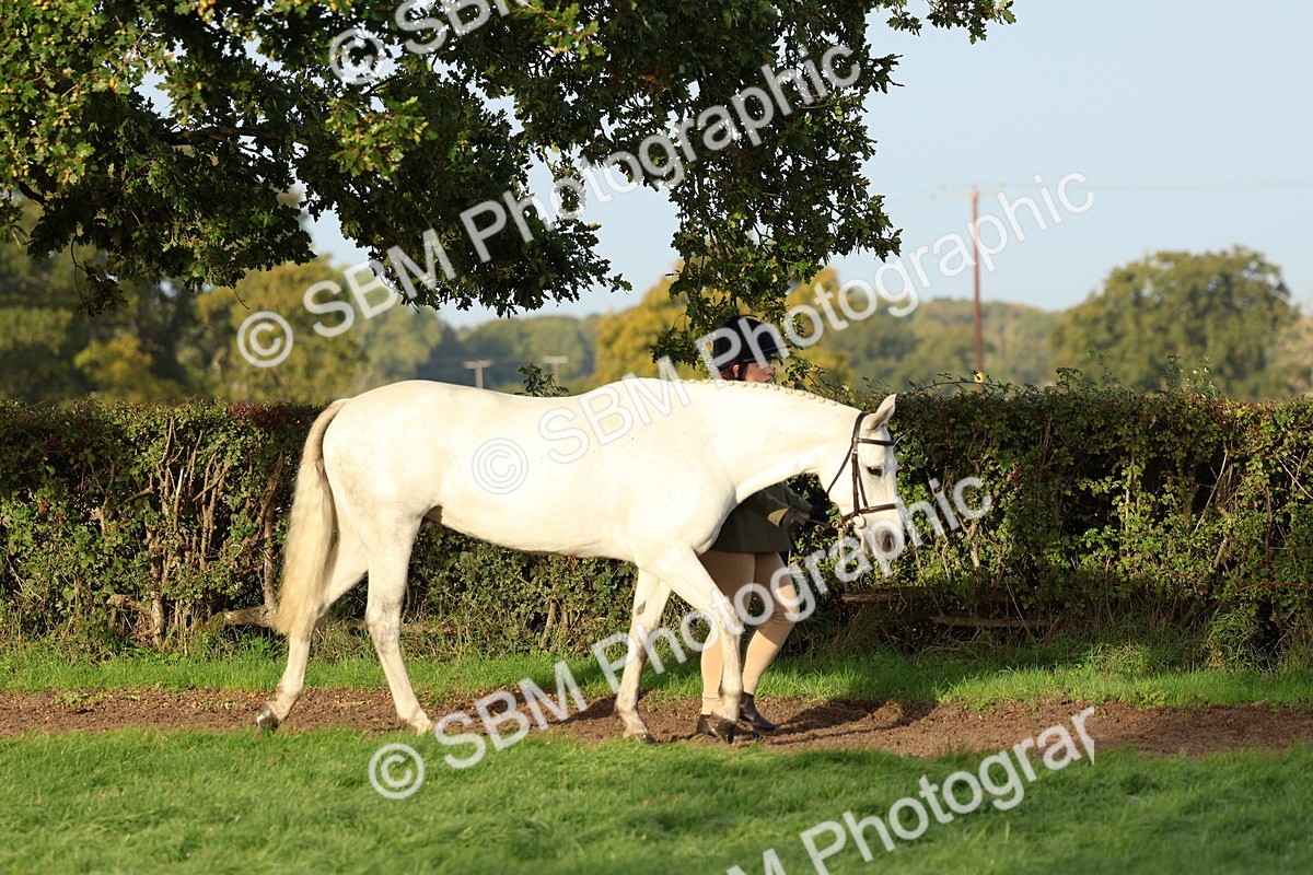 SBM_54754 - S39 - Starters In Hand Showing