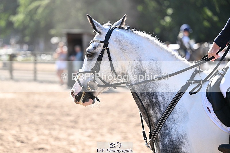 250823A-101624-25309 - NAF Round 1 9.30 to 10.30