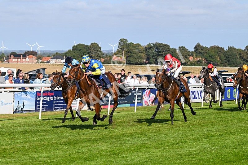 180924-Race 5-Blue Zodiac-4796 - Race 5