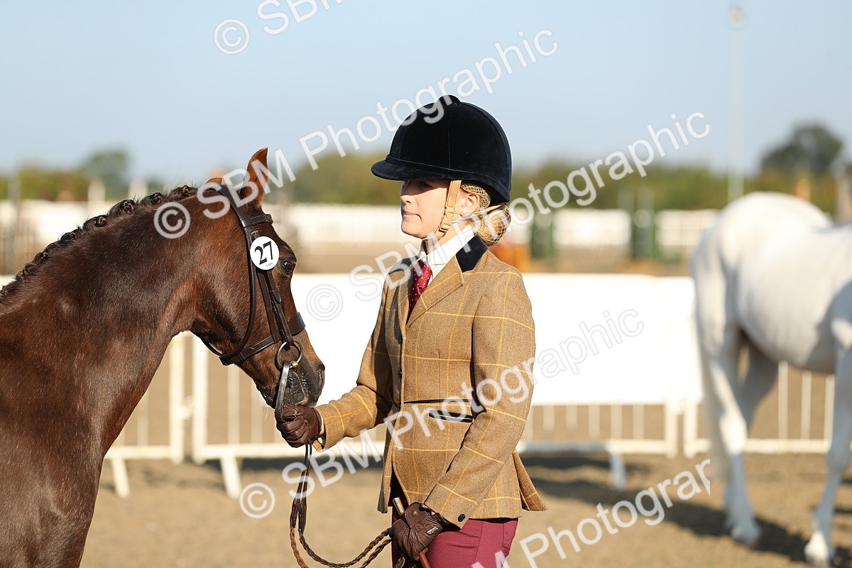 SBM_00034 - Class 40 Best Turned Out IH