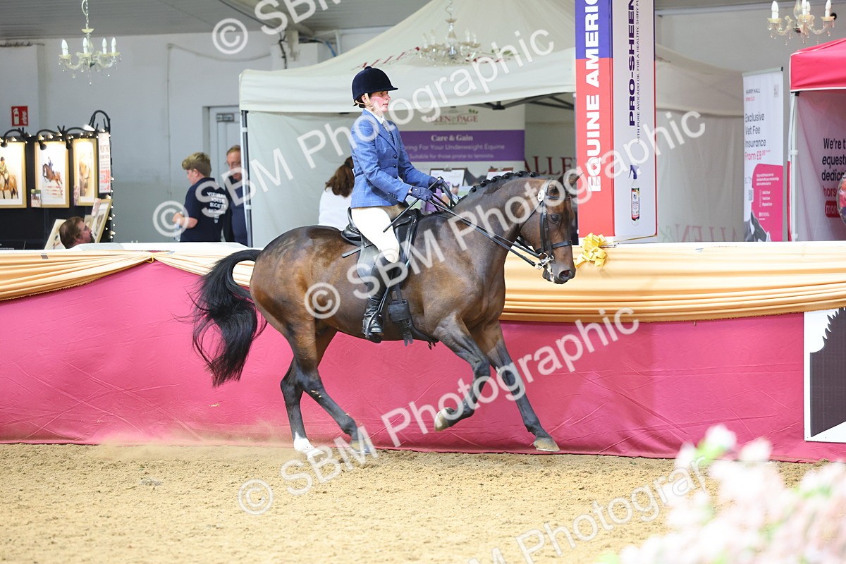 SBM_23513 - Class 904 - Supreme Final Ridden Diamond