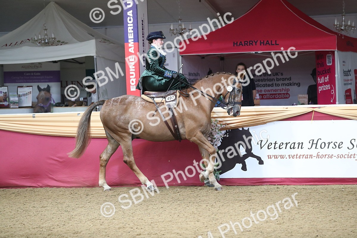 SBM_11555 - Class 105 Ridden Costume- Side Saddle