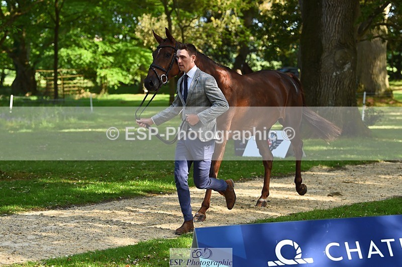 230524-170500-01280 - 153-GAMEBIRD-Max_Warburton-WEDTrotUp+DR