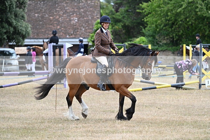 WJ7_0528 - Class 6 Ridden Mountain and Moorland