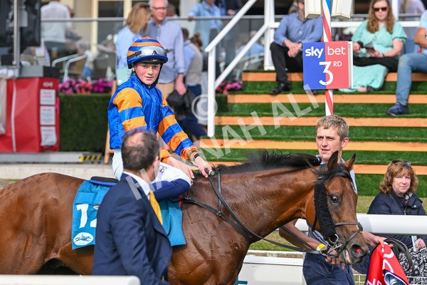 080925-Race 4-Zain Blue-7645 - Race 4 4.00pm Sky Bet Extra Places Middle Distance Handicap