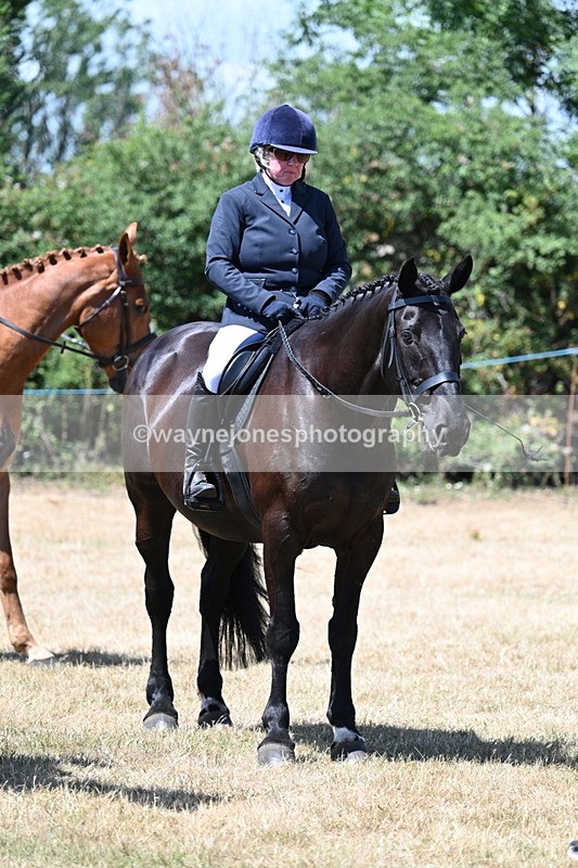WJ7_3156 - Class 7 Riding Club Show Horse