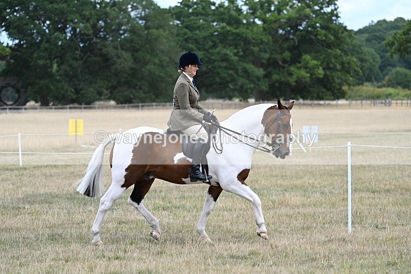 WJ7_4876 - Class 12 Ridden Cob