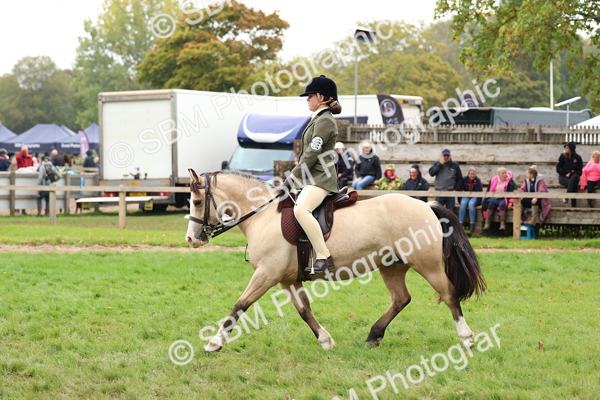SBM_69635 - S62 - Mountain & Moorland Ridden Large Breeds