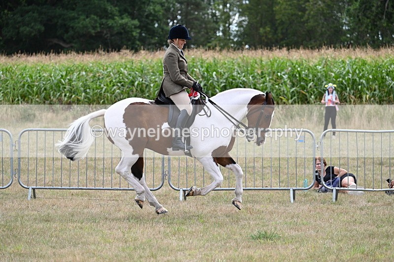 WJ7_5630 - Class 12 Ridden Cob