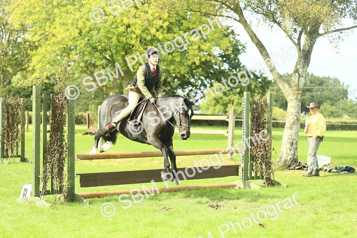 SBM_44747 - S31 - Working Hunter Pony
