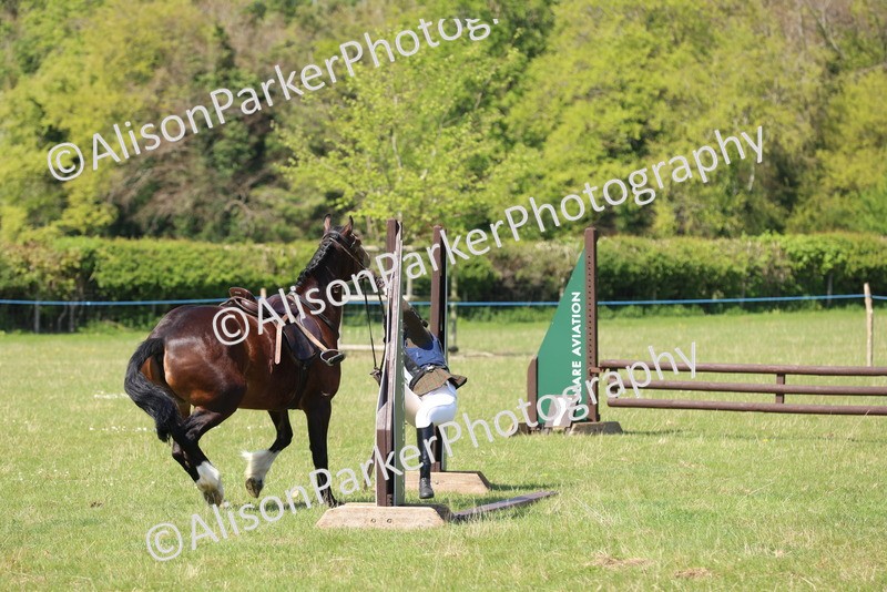 20250427-2568 - Class 20 - Working Hunter Ponies