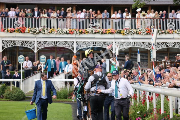 yr20082021r2-79 - Race 2 2.25pm Weatherbys Hamilton Lonsdale Cup (British Champion Series race)