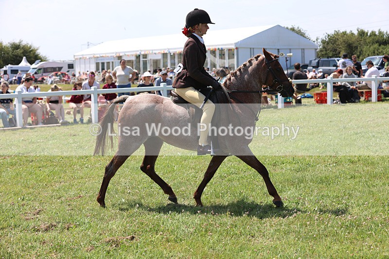 JPP_2782 - Class 21: Working Hunter 60cm