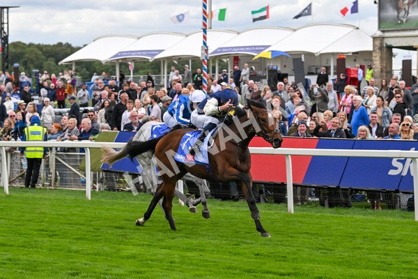 210825-Race 1-Royal Fixation-3608 - Race 1 1.50pm Sky Bet Lowther Stakes