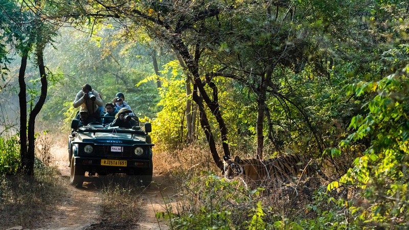 Ranthambore National Park