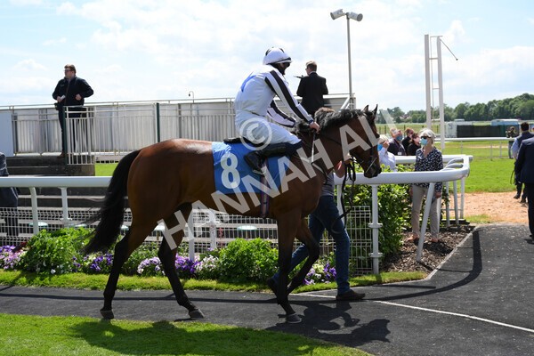 yr11062021r3-5 - Race 3 2.55pm SKF Rous Selling Stakes