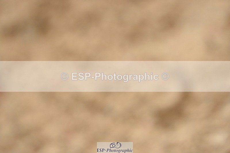 230916A-130656-04376 - Cls 23 Snr Discovery & 1m Open