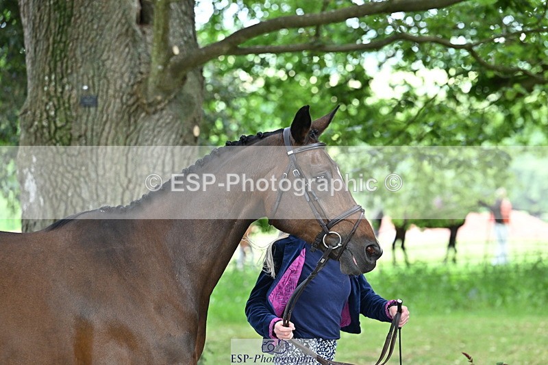 250521A-152839-00535 - B-368-Katey.Cuthbertson-PROSECCO