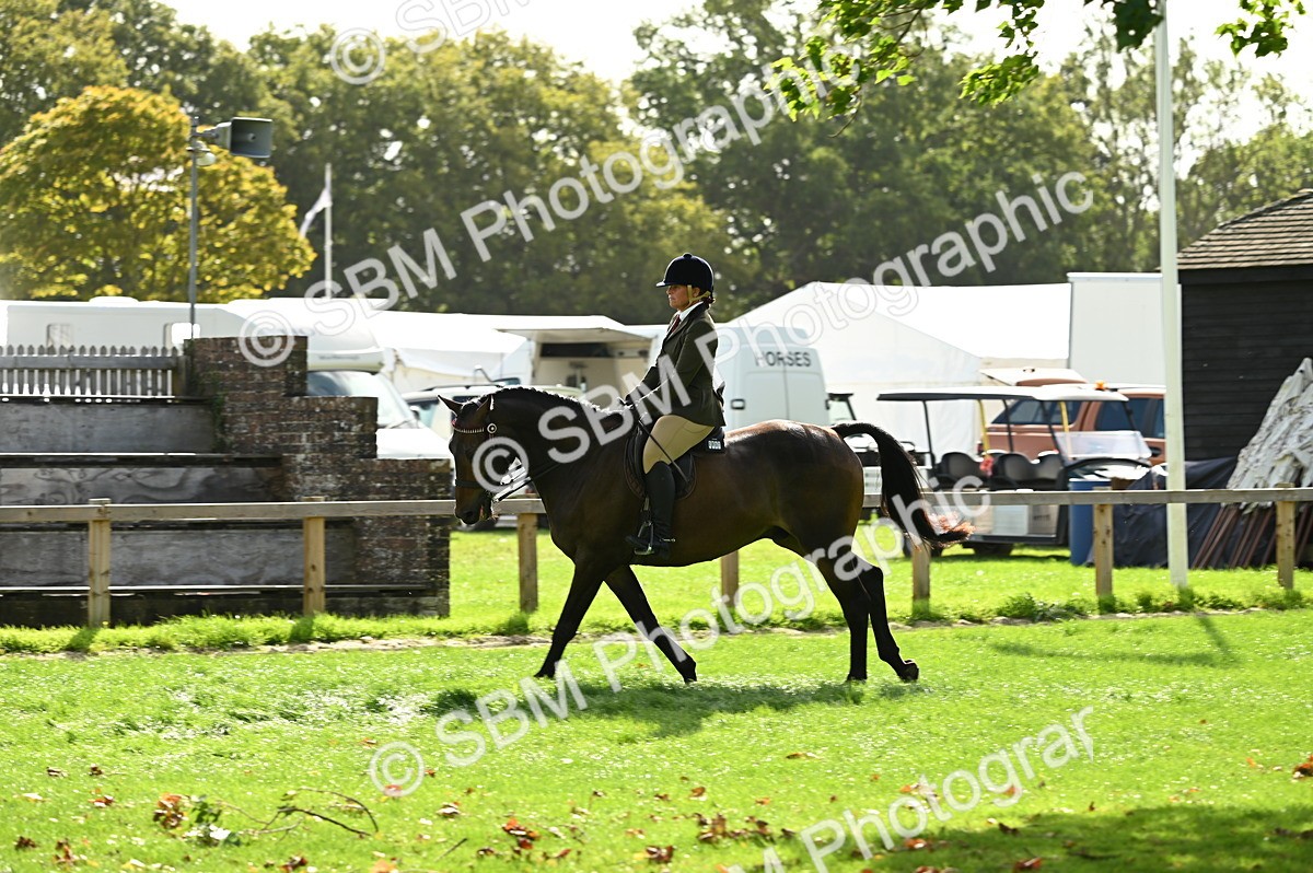 SBM_01757 - S2 - TSR Ridden Horse Showing