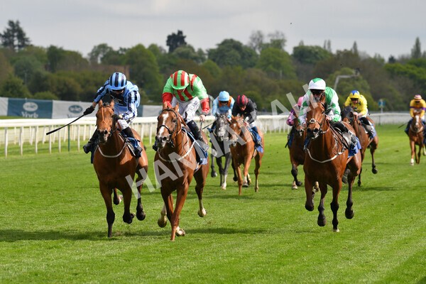 yr14052021r7-22 - Race 7 4.50pm Irish Thoroughbred Marketing Stakes