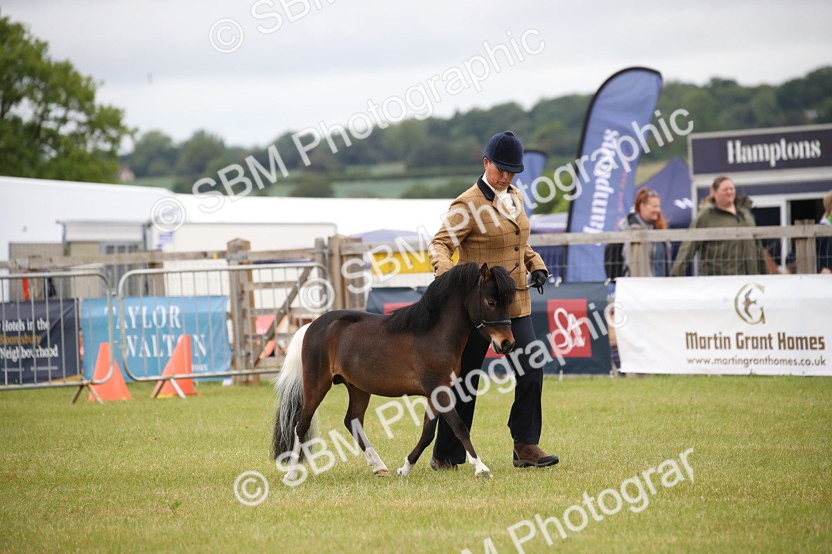 SBM_03723 - Class 23-25 - British Miniature Horse of the Year