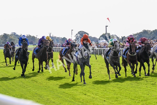 111025-Race 2-Grey Cuban-0258 - Race 2 Coral 'Pipped At The Post' Handicap at York