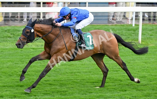 220825-067 Trawlerman - Race 2 2.25pm Weatherbys Lonsdale Cup Stakes