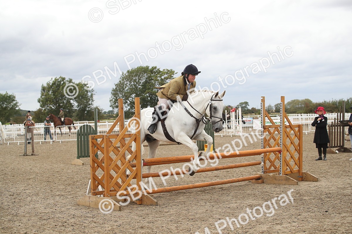 SBM_18254 - Class 509a - Working Veteran - 80cm (15-19)