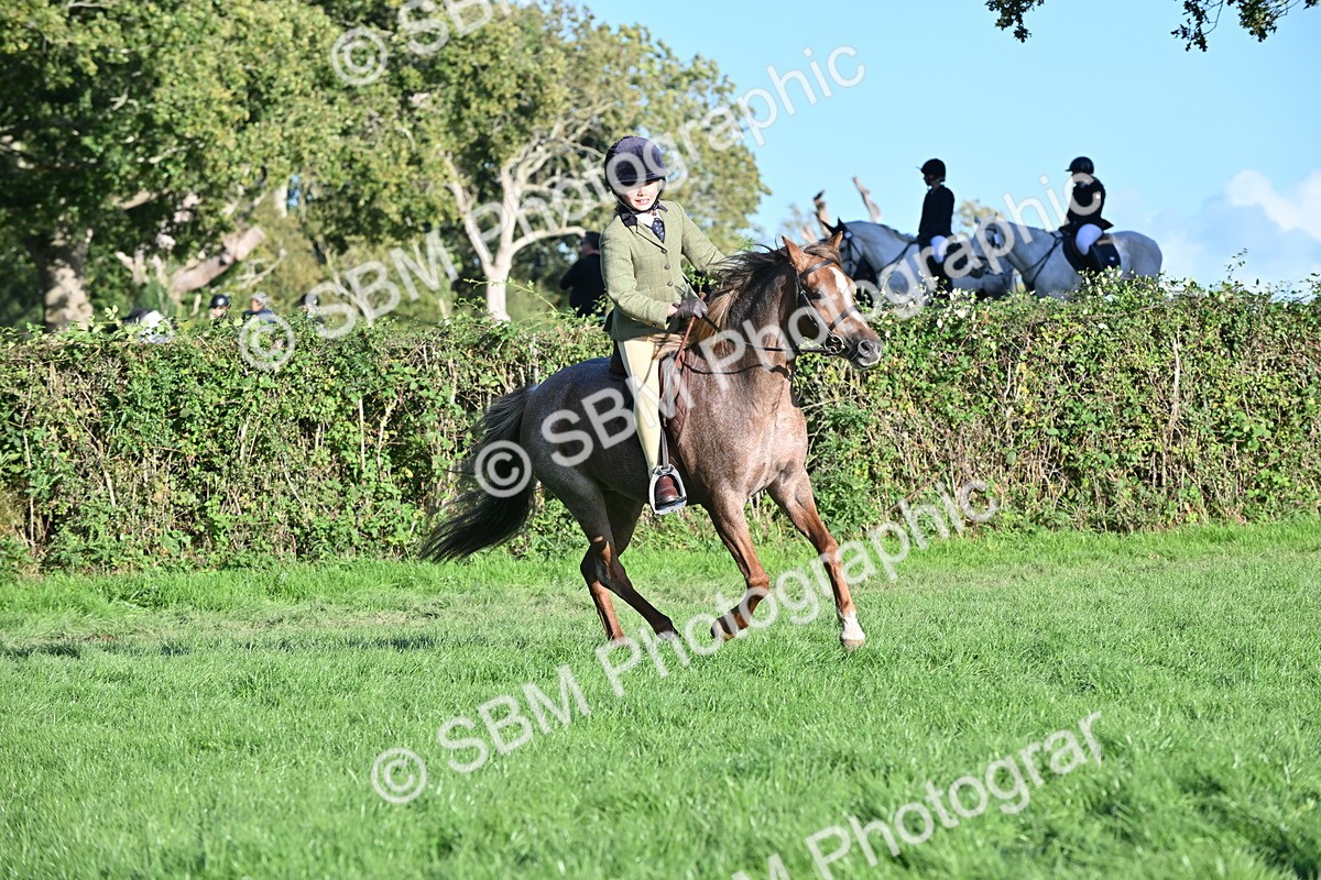 SBM_53045 - S23 - First Ridden Mountain & Moorland Pony