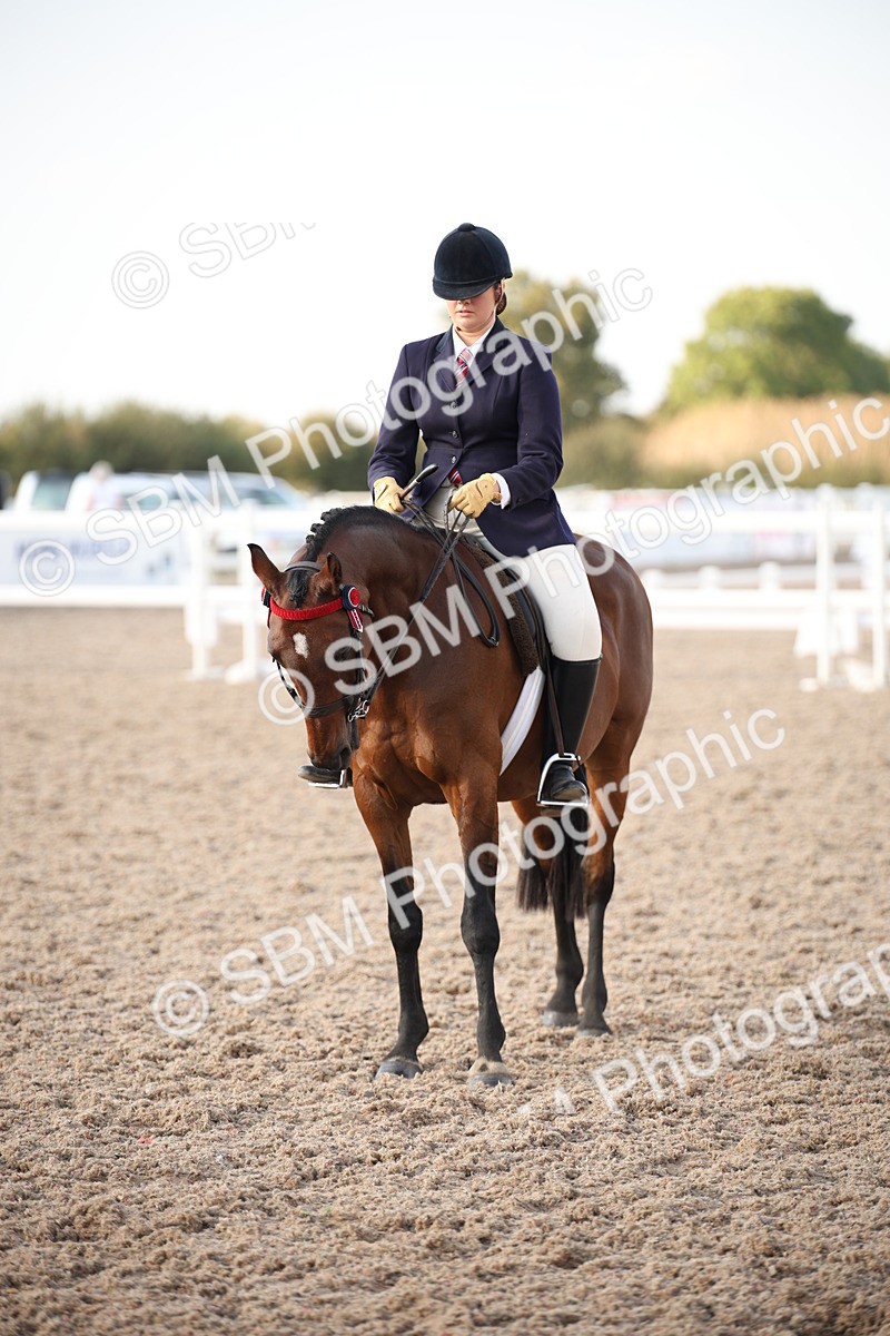SBM_09208 - Regional Ridden Champ