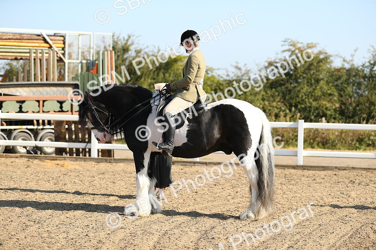 SBM_01164 - Class 42 Ridden Veteran