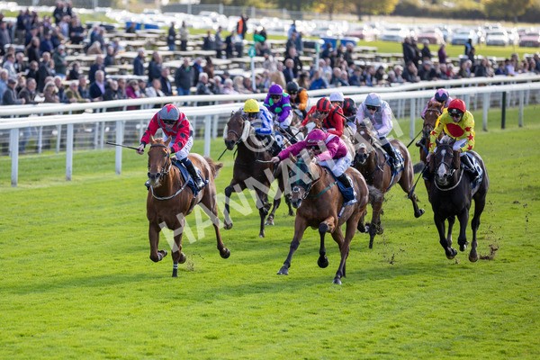 111024-Race 1-Empirestateofmind-6828 - Race 1 1.30pm William Hill Top Price Guarantee Autumn Handicap