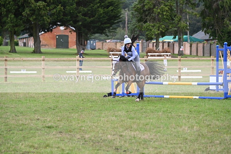 WJ6_1742 - 60cm Time 12:11 to 12:28