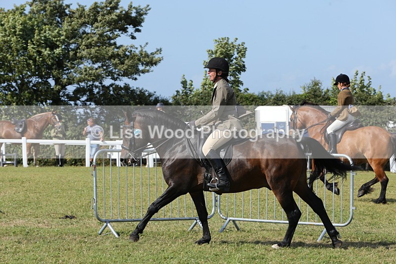 1X9A5891 - Class 41:. NPS New Forest & Connemara