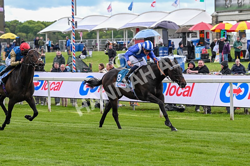 130526-Race 4-Elmonjed-2992 - Race 4 3.30pm Go Local Stores Minster Stakes