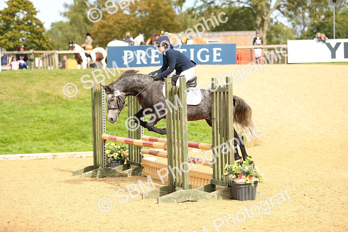 SBM_67185 - J17 - Junior Pony 80cm Championship