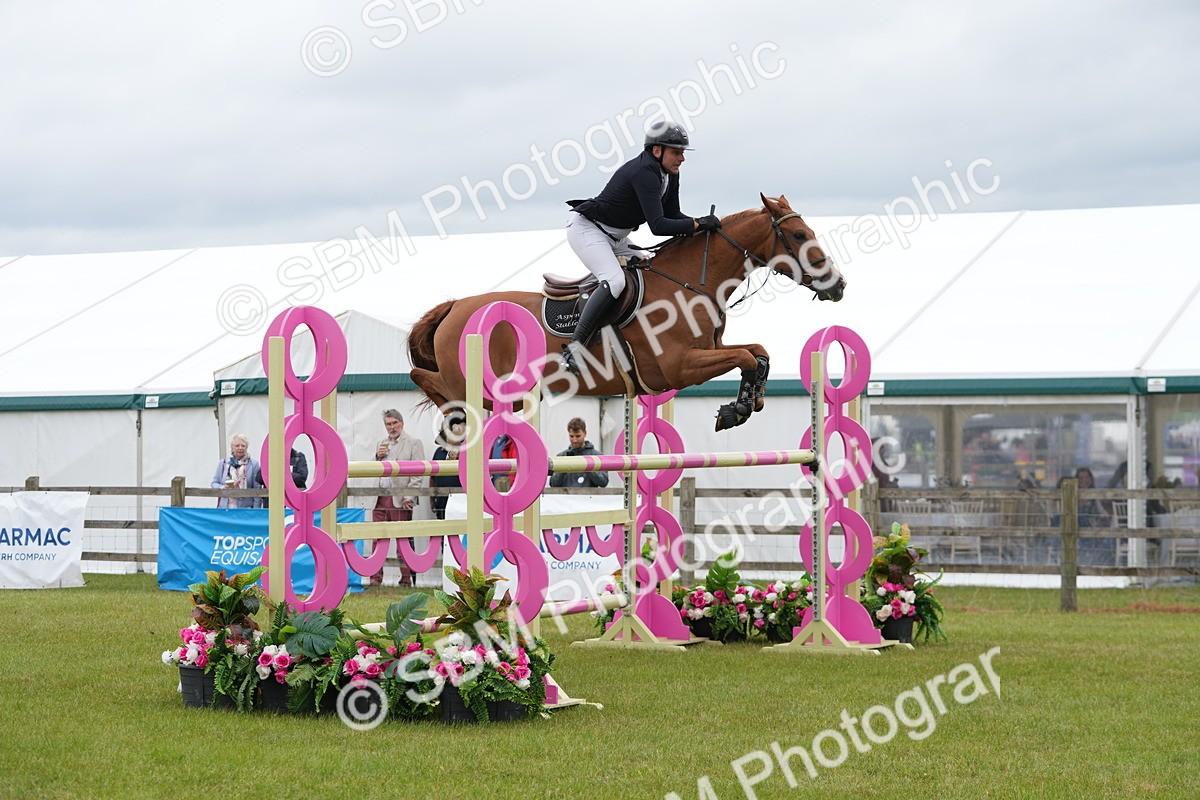 SBM_03033 - Class 201 - British Horse Feeds Speedi Beet Horse of the Year Show Grade  C