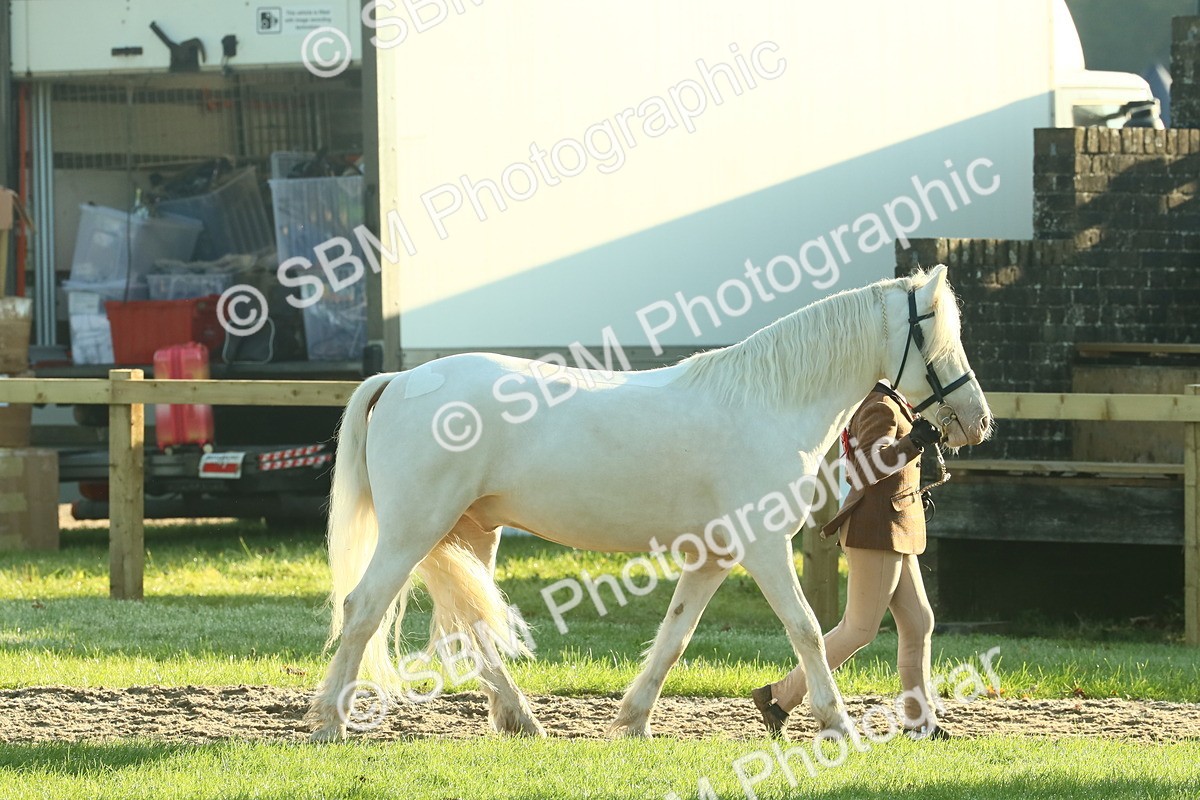 SBM_57376 - S37 - Starters In Hand Showing