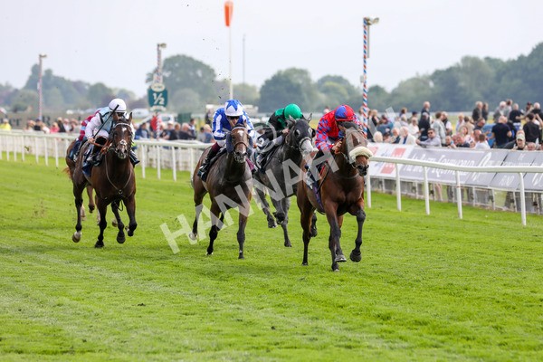 160524-Race 5-Big Evs-1904 - Race 5 4.15pm  British Stallion Studs EBF Westow Stakes