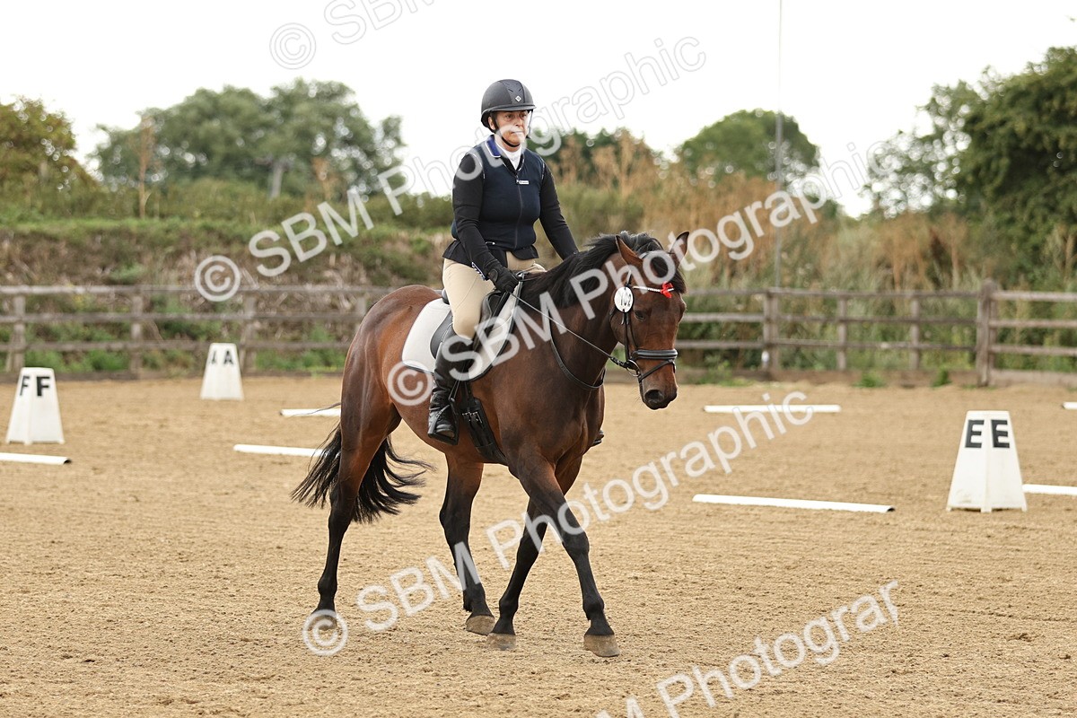 SBM_002119 - Intro 1-2