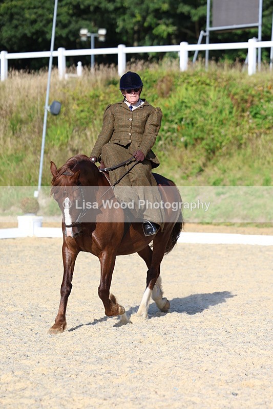 3E7A3466 - Class 2: Intro 1 2024 Section B