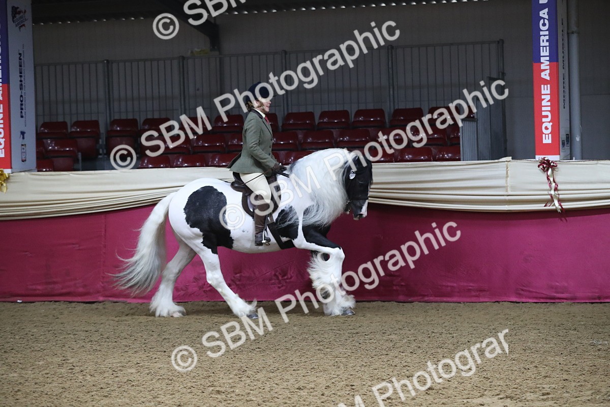 SBM_10384 - Class 102 Equitation (best rider) Adult