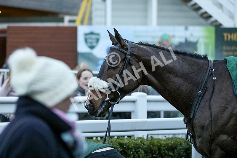 010124-Race 6-Abbeyhill-4556 - Race 6