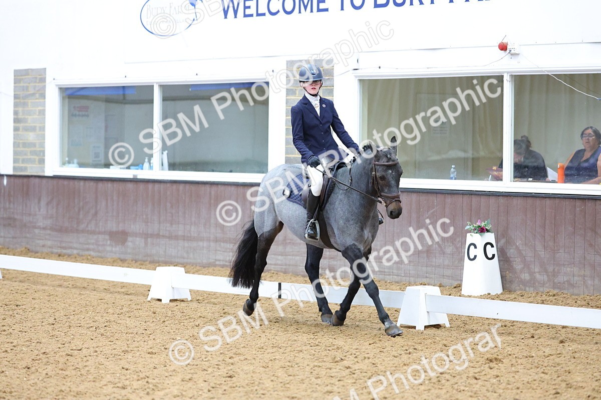 SBM_002591 - Novice