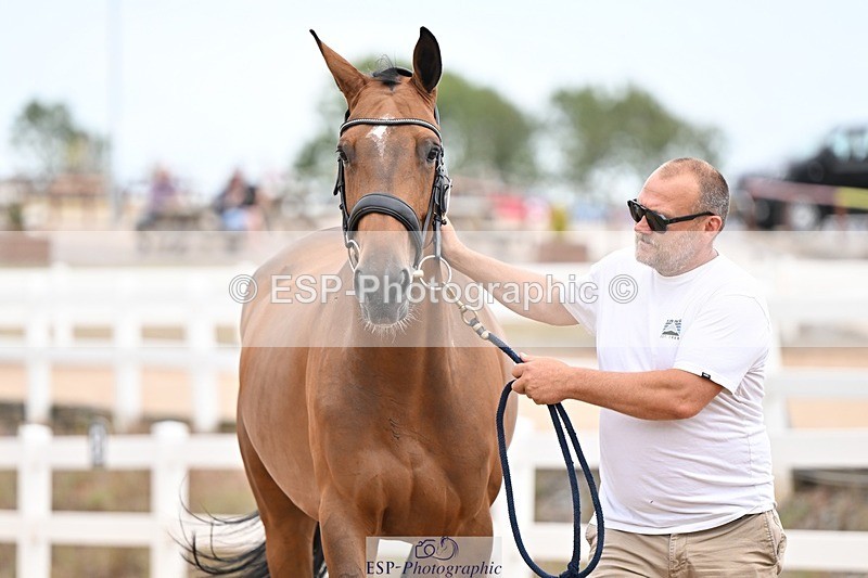 250716-155454-02277 - Trot Up 3.30 to 4.30