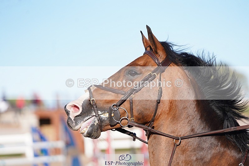 250627-191558-00479 - Cls 5 Junior 1.10m Open