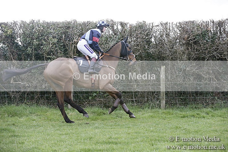 PtP 040218 135 - Point-to-Point Milborne St Andrew 04/02/18